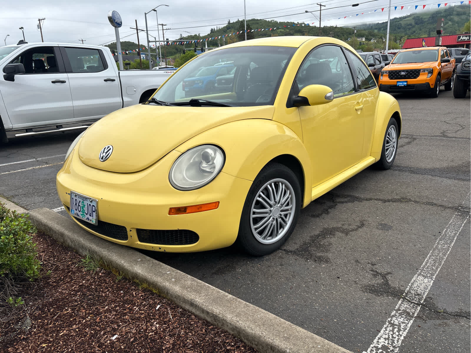 2010 VOLKSWAGEN Beetle