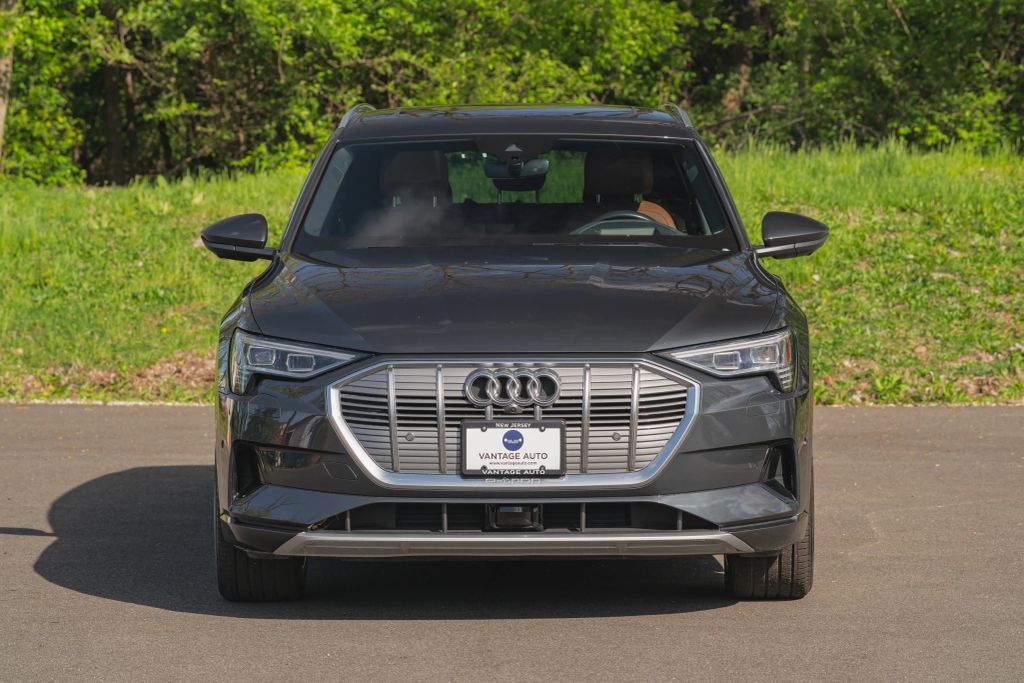 2019 AUDI e-tron