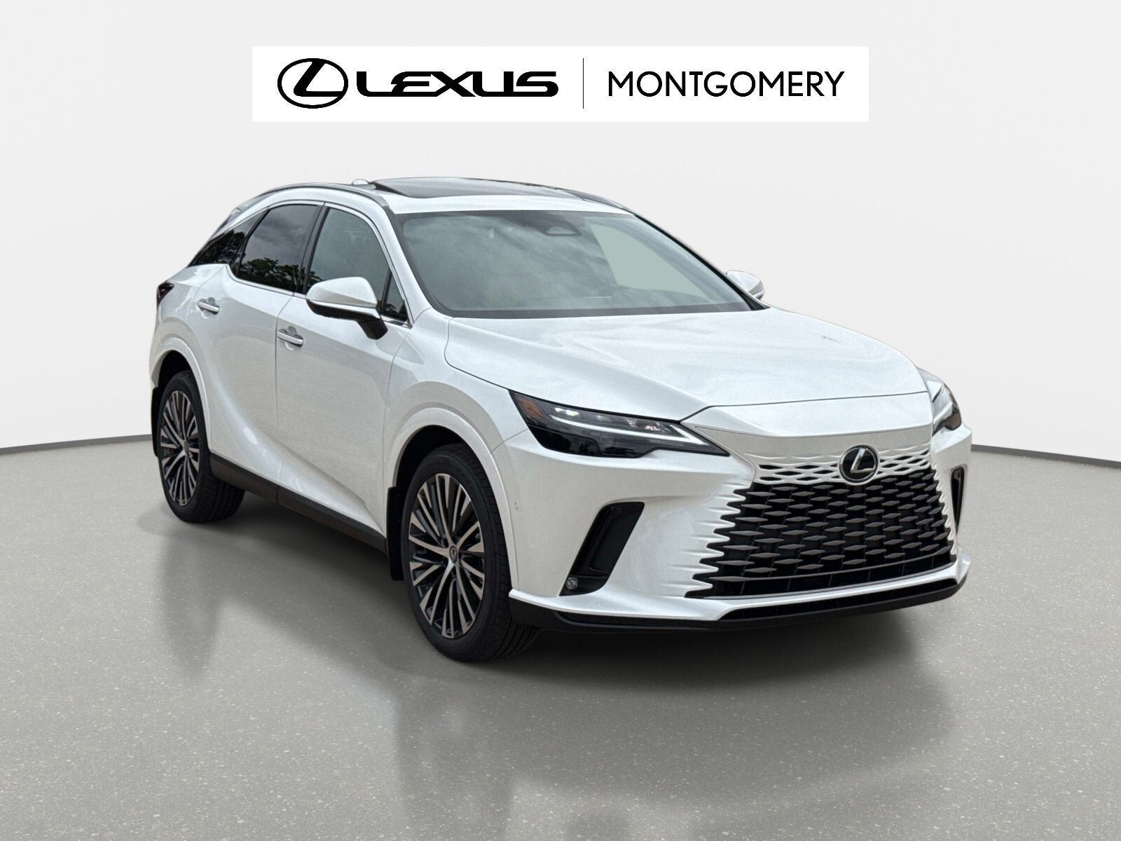 2026 LEXUS RX
