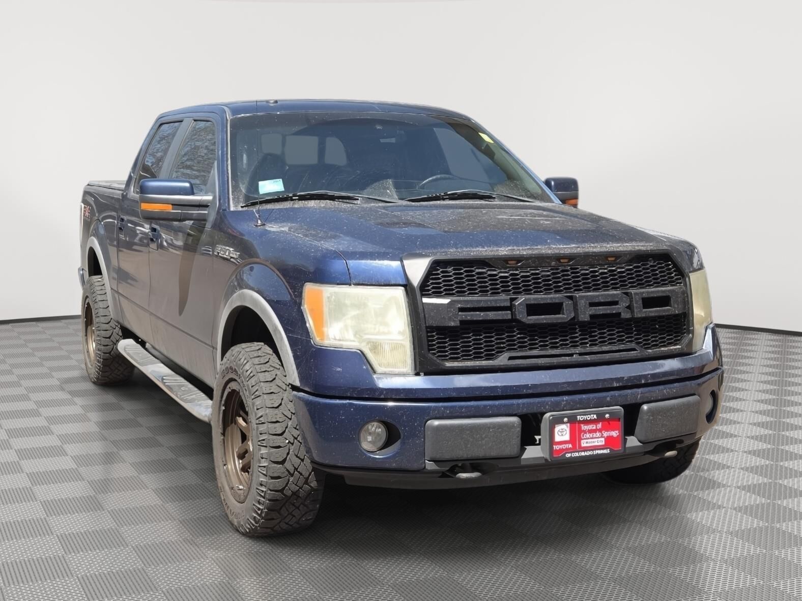 2009 FORD F-150