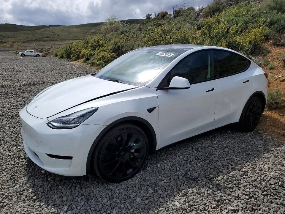 2023 TESLA Model Y