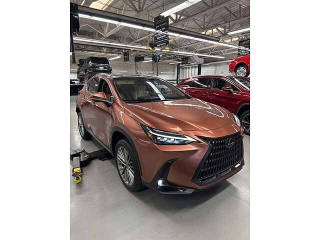 2025 LEXUS NX