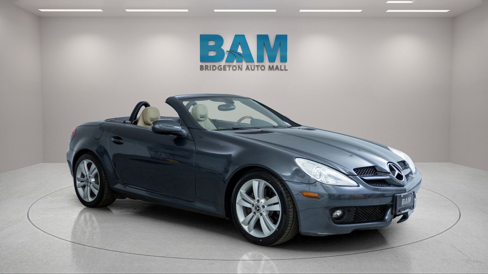 2010 MERCEDES-BENZ SLK-Class