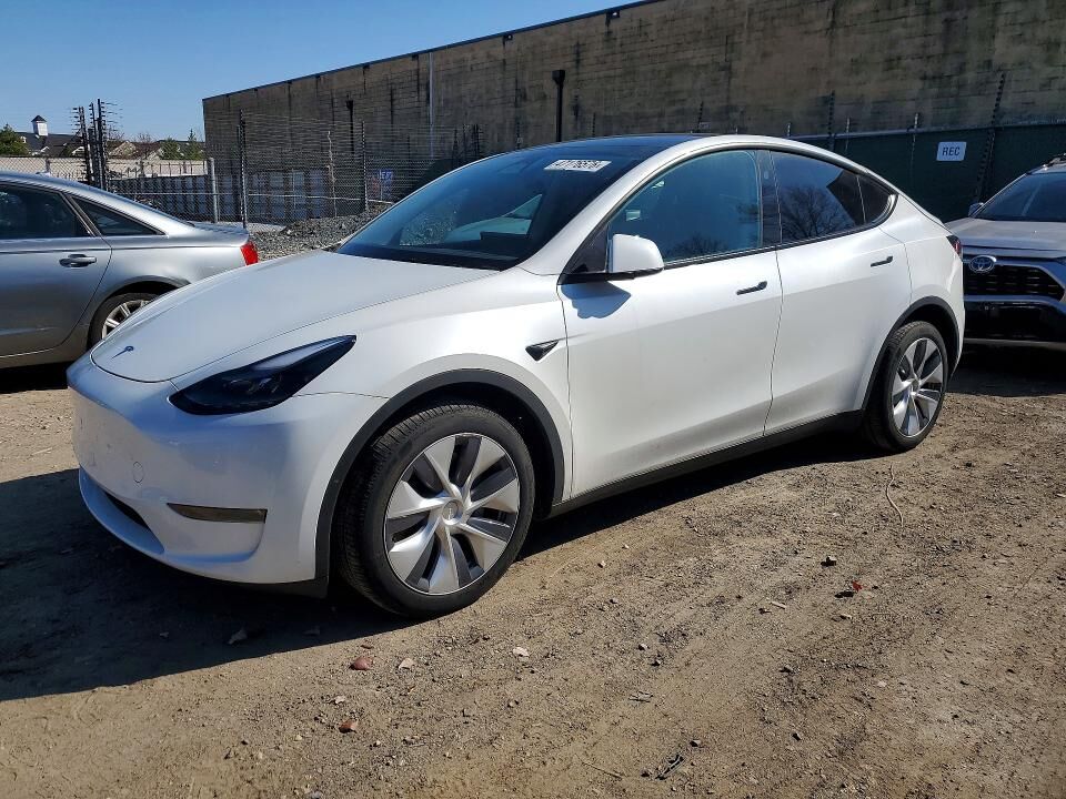 2024 TESLA Model Y