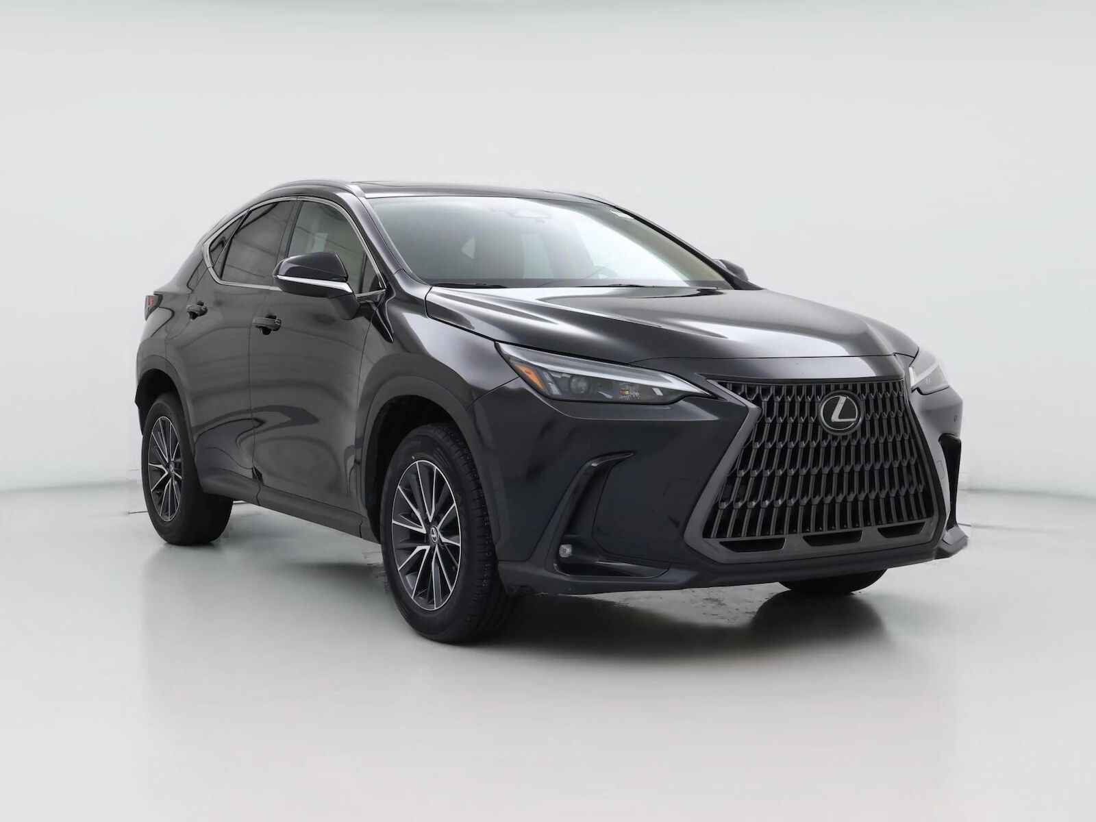 2024 LEXUS NX