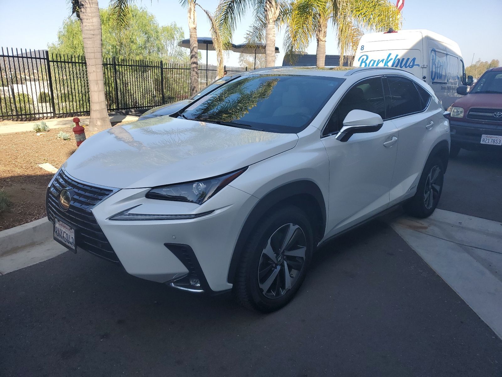 2020 LEXUS NX