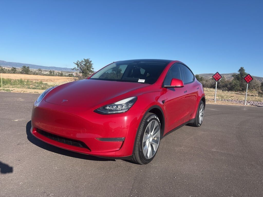 2020 TESLA Model Y