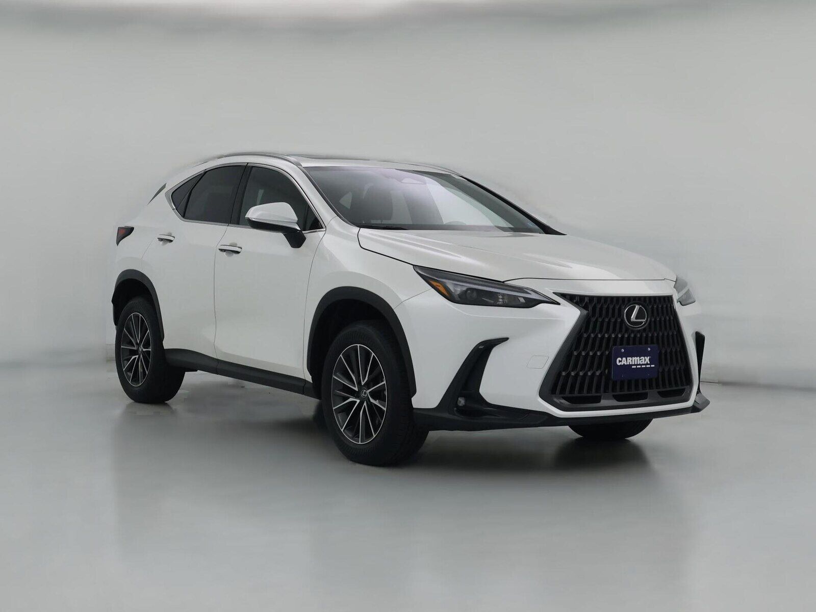 2024 LEXUS NX