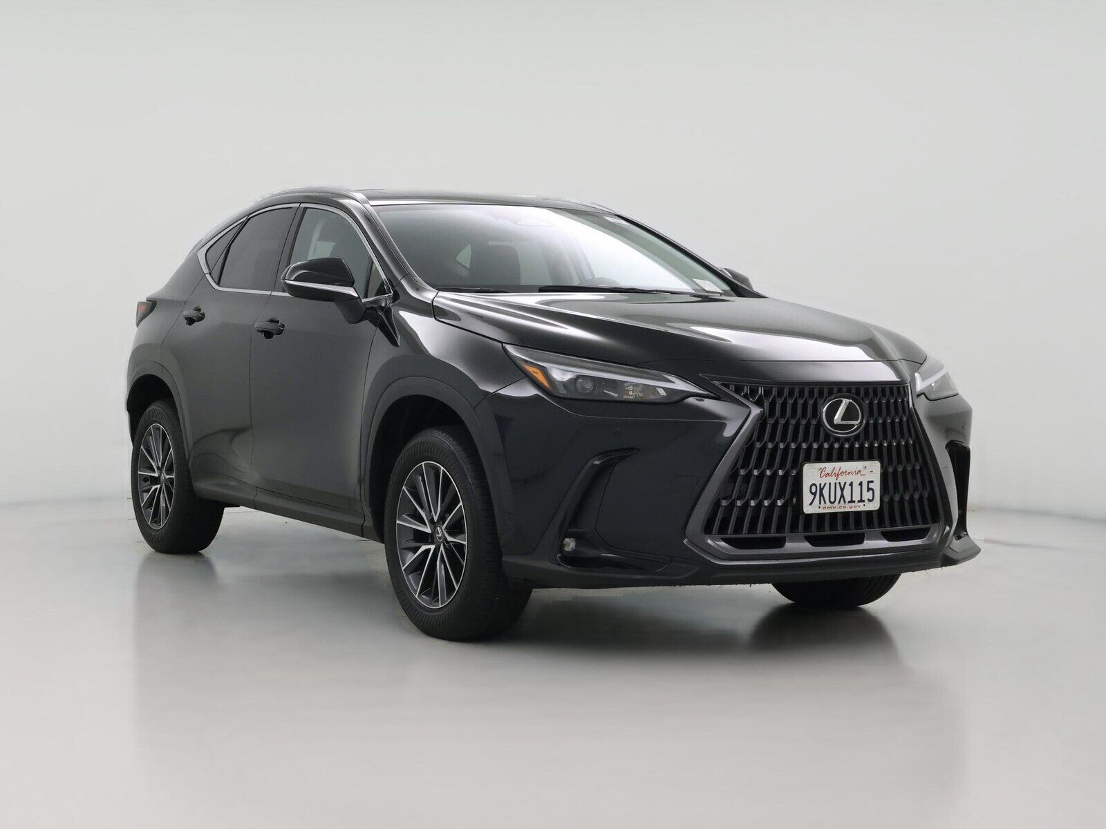 2024 LEXUS NX