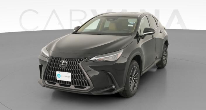 2024 LEXUS NX