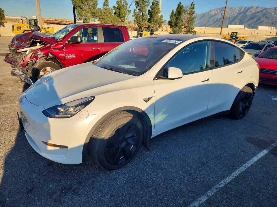 2020 TESLA Model Y