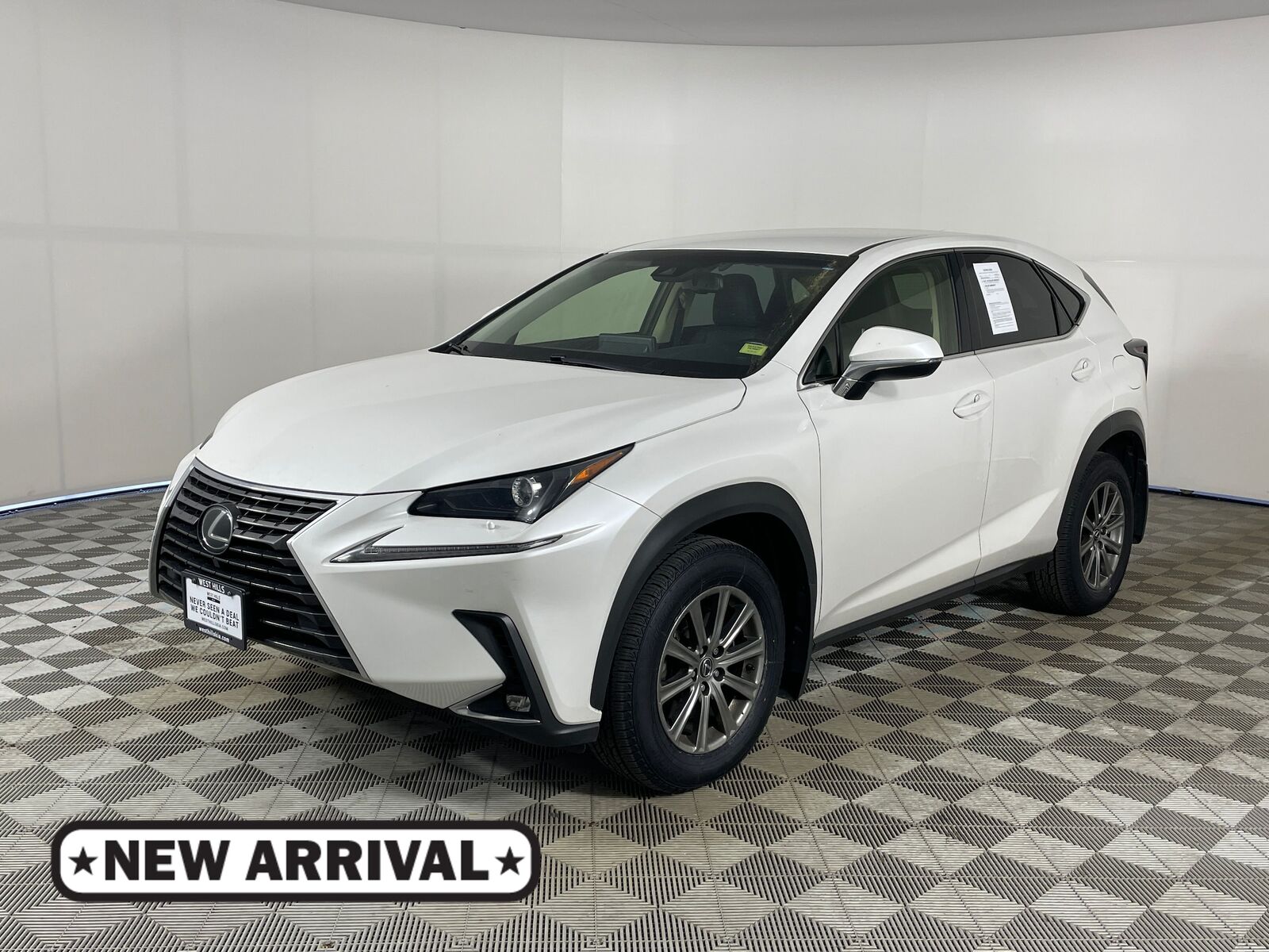 2019 LEXUS NX