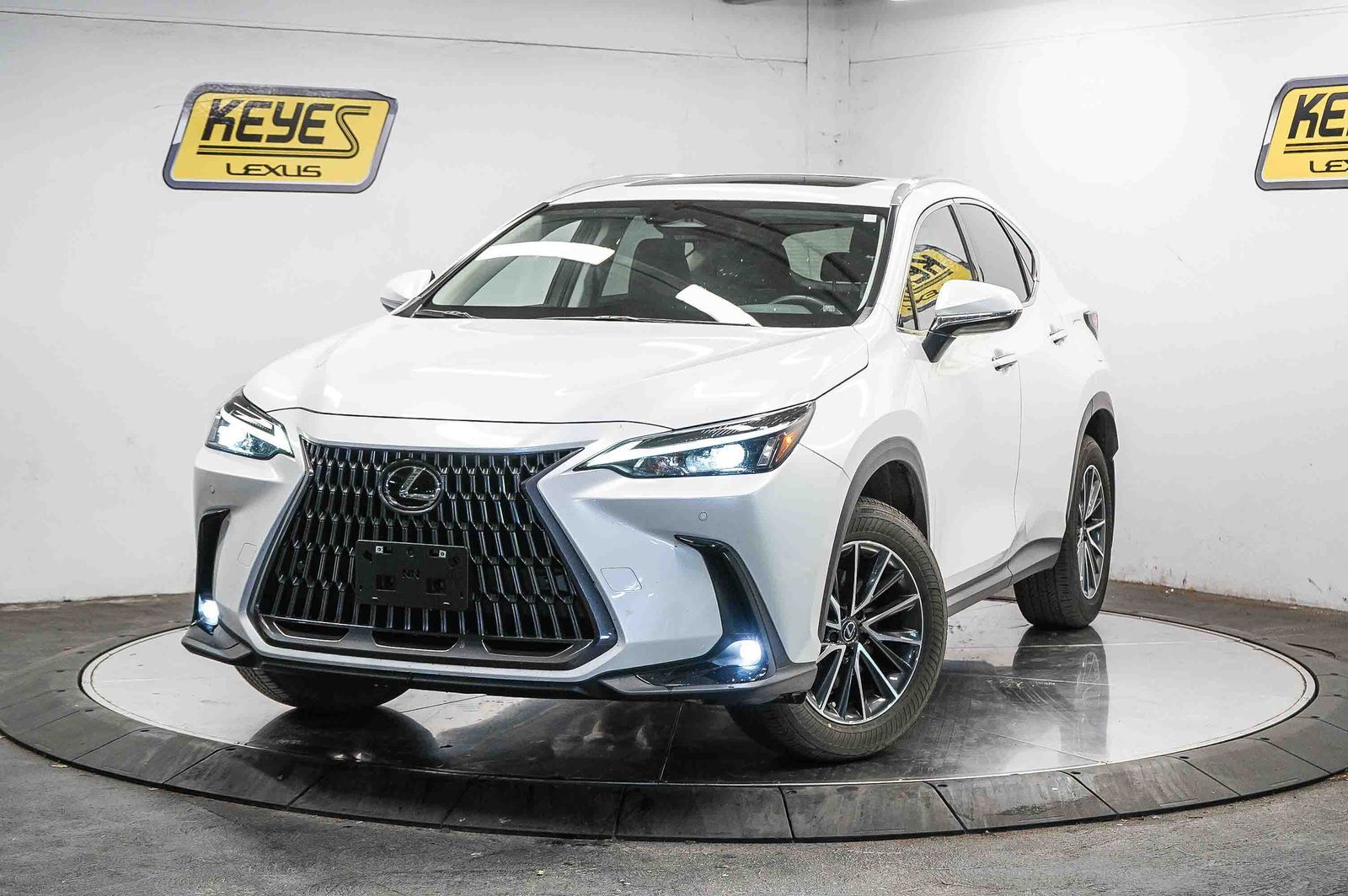 2025 LEXUS NX