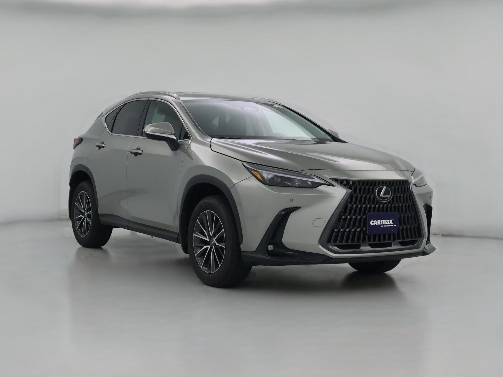2025 LEXUS NX