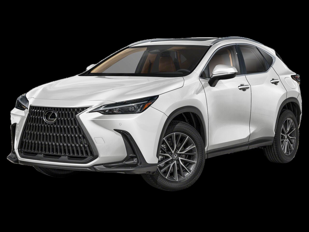 2025 LEXUS NX