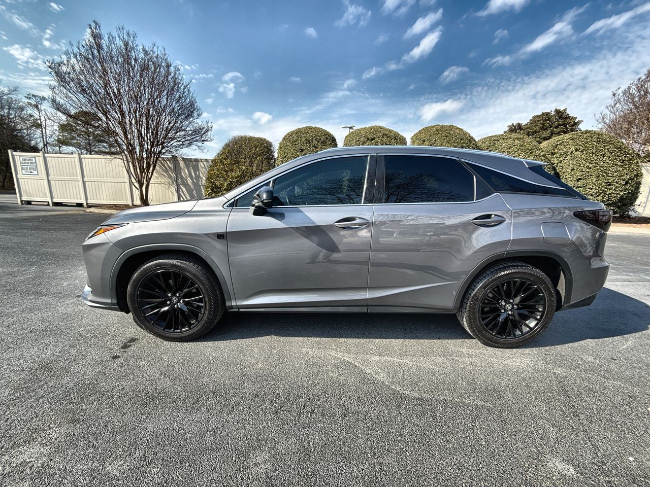 2018 LEXUS RX