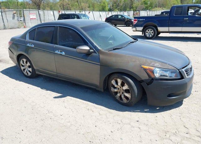 2009 HONDA Accord