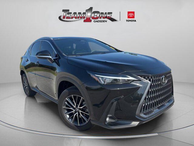 2024 LEXUS NX