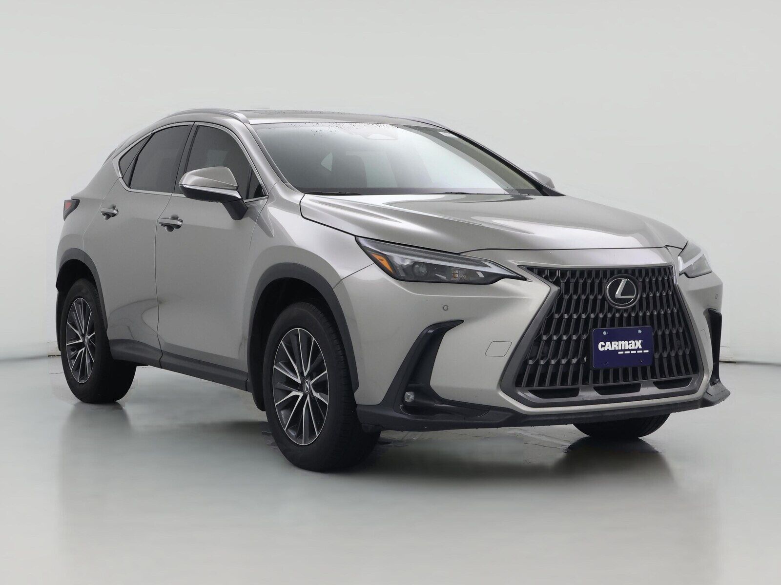 2024 LEXUS NX