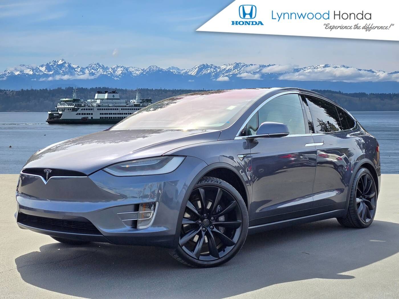 2020 TESLA Model X