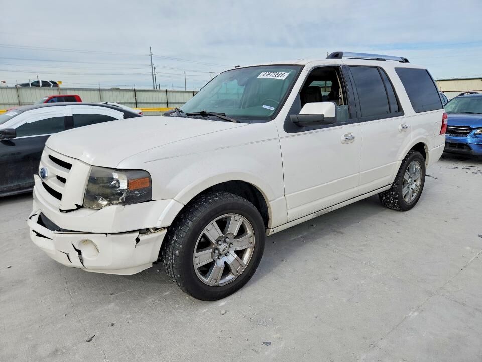 2010 FORD Expedition
