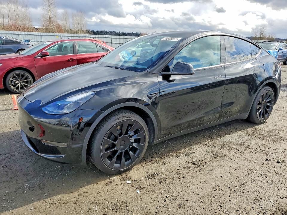 2024 TESLA Model Y