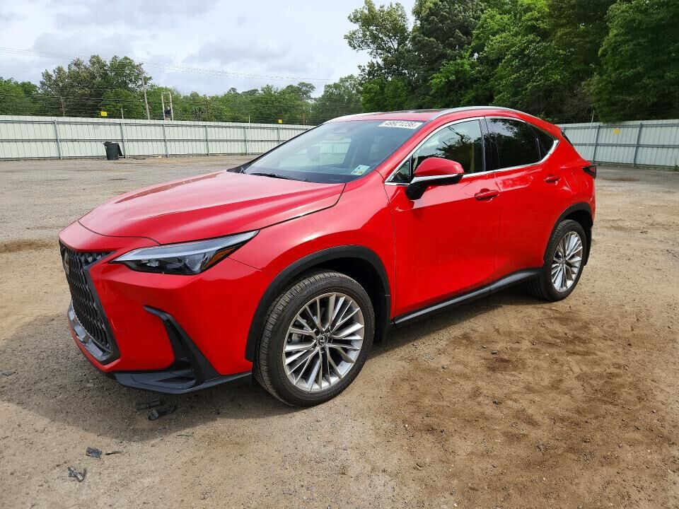 2025 LEXUS NX