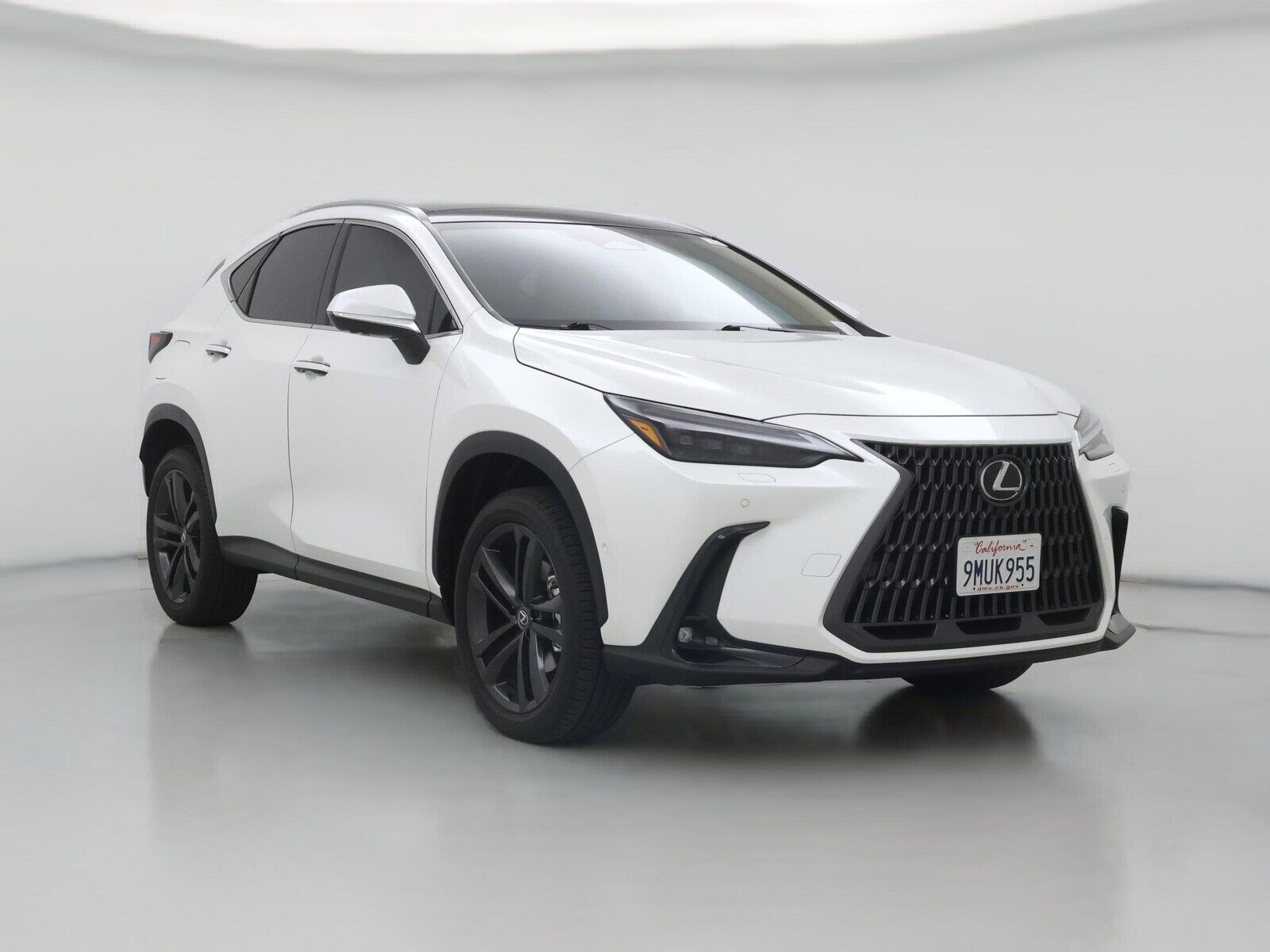2025 LEXUS NX