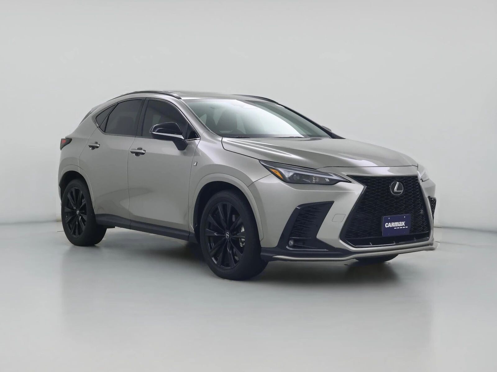 2024 LEXUS NX