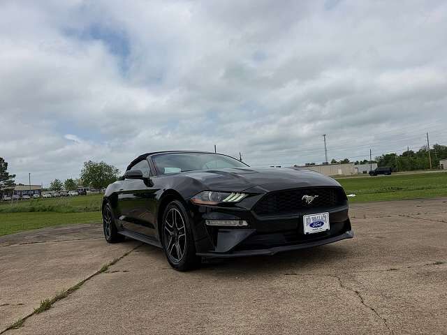 2019 FORD Mustang