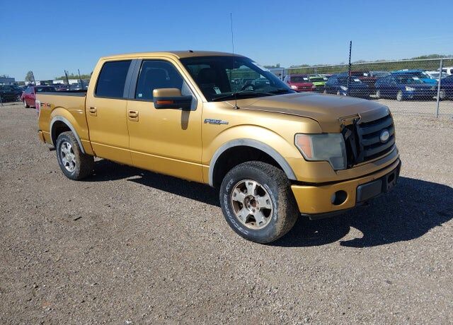 2009 FORD F-150