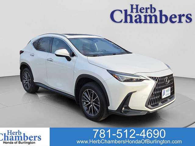 2024 LEXUS NX