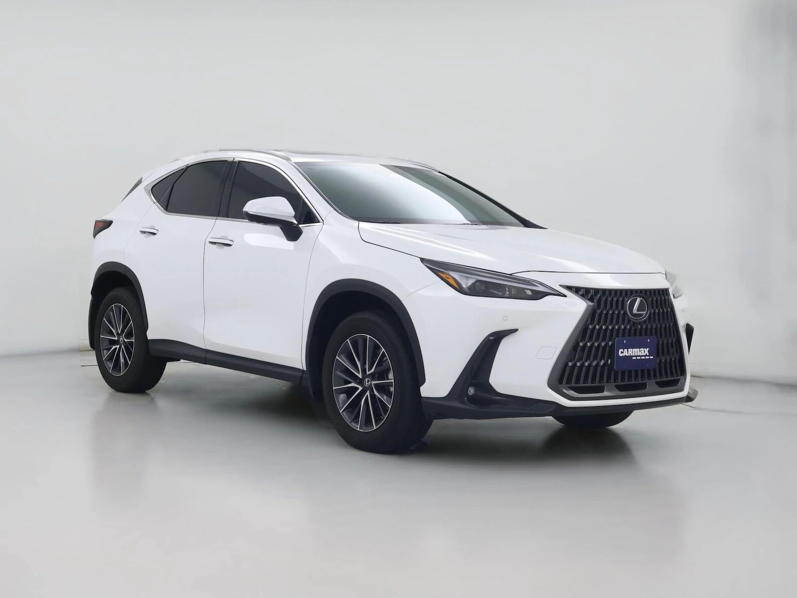 2026 LEXUS NX