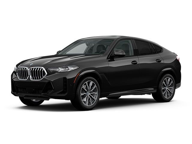 2024 BMW X6