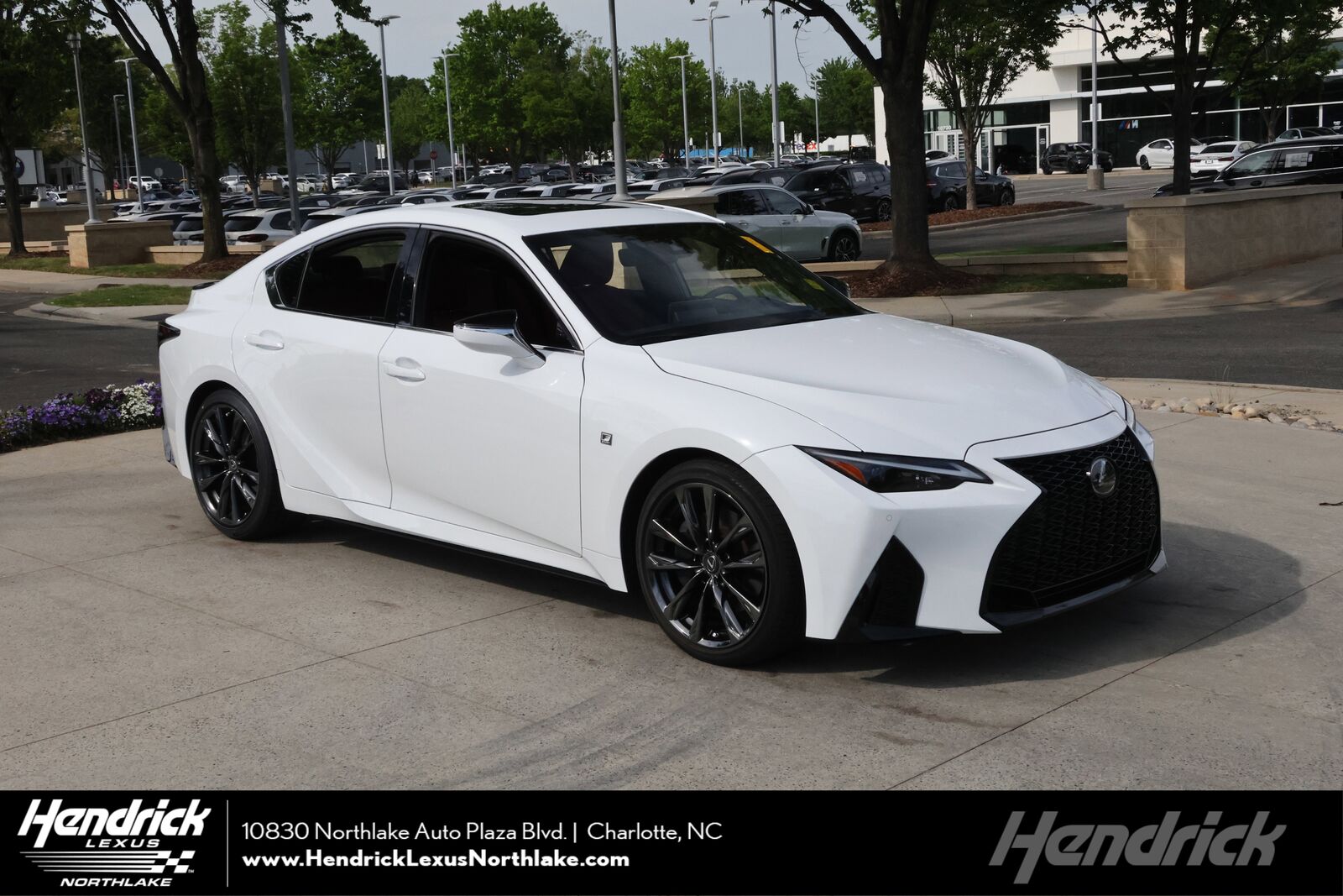 2023 LEXUS IS
