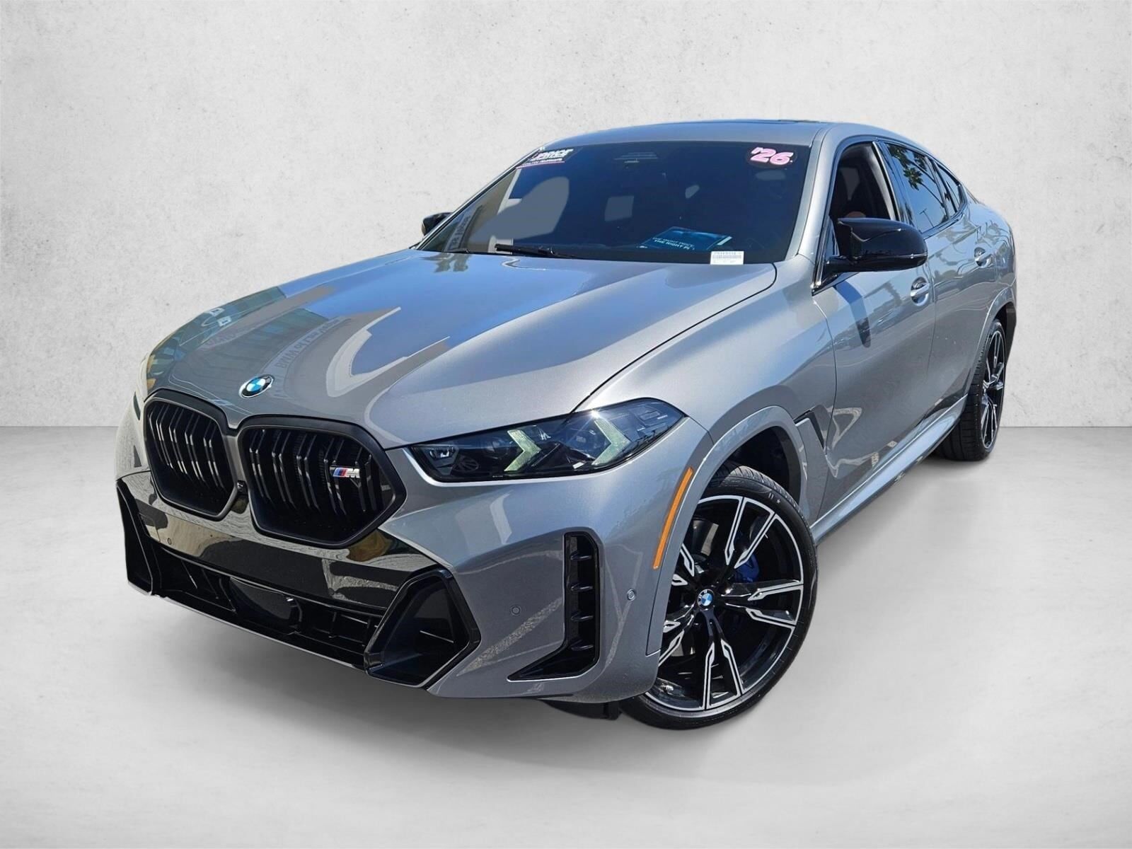 2026 BMW X6