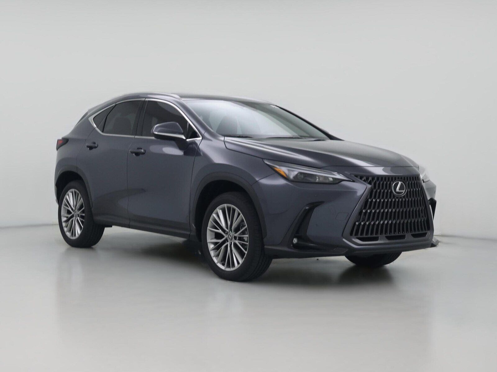 2025 LEXUS NX