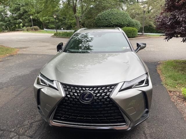 2019 LEXUS UX
