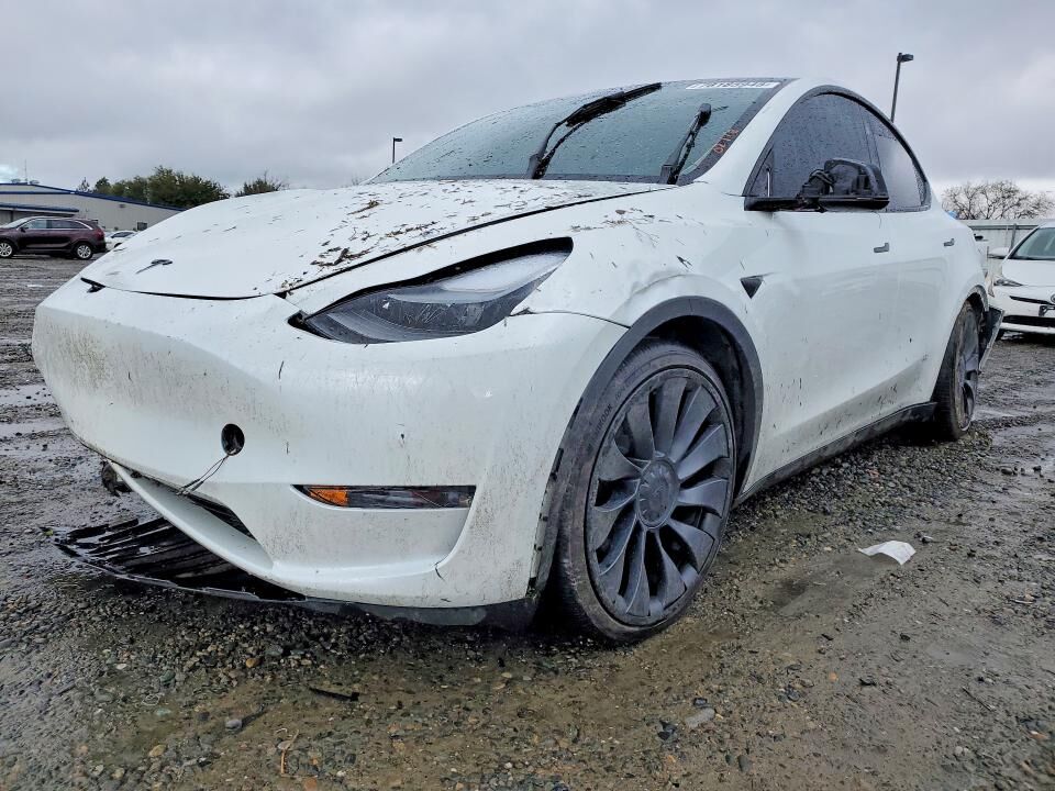 2024 TESLA Model Y