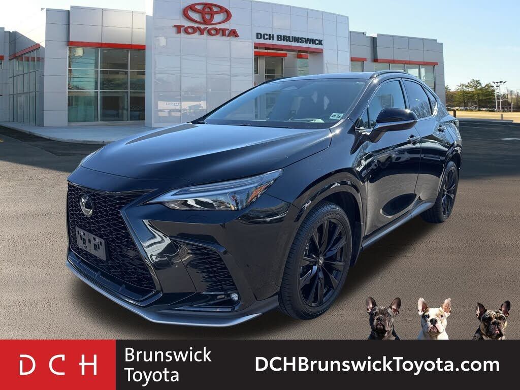 2024 LEXUS NX