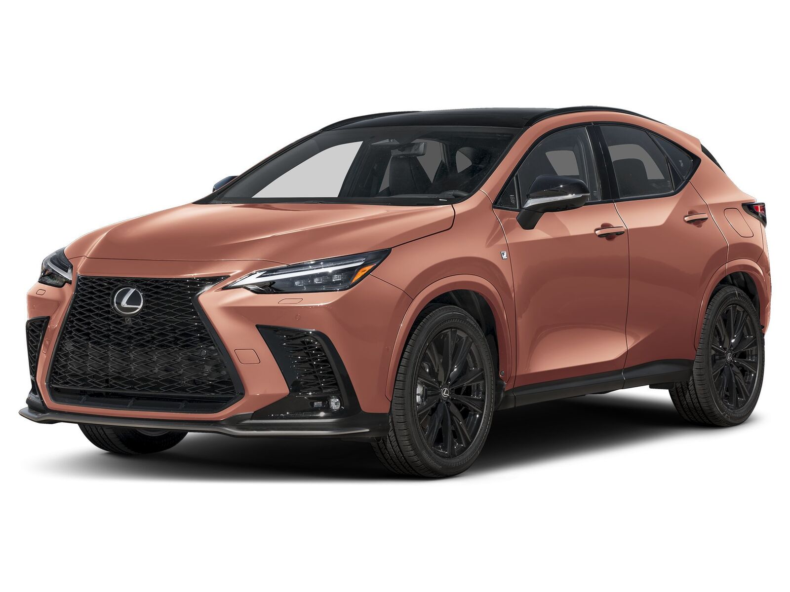 2026 LEXUS NX
