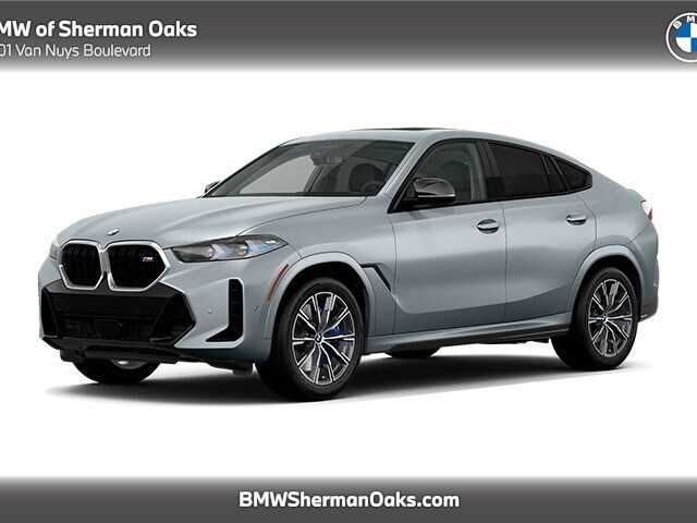 2024 BMW X6