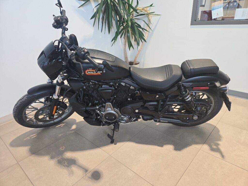 2023 HARLEY DAVIDSON Nightster