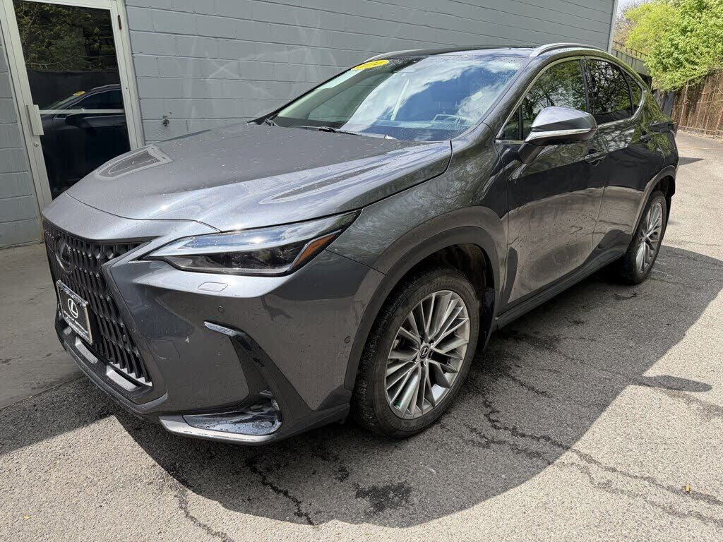 2024 LEXUS NX