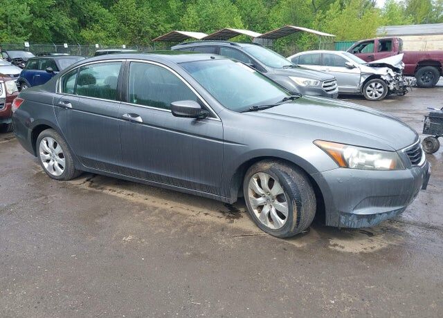 2010 HONDA Accord