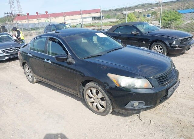 2010 HONDA Accord