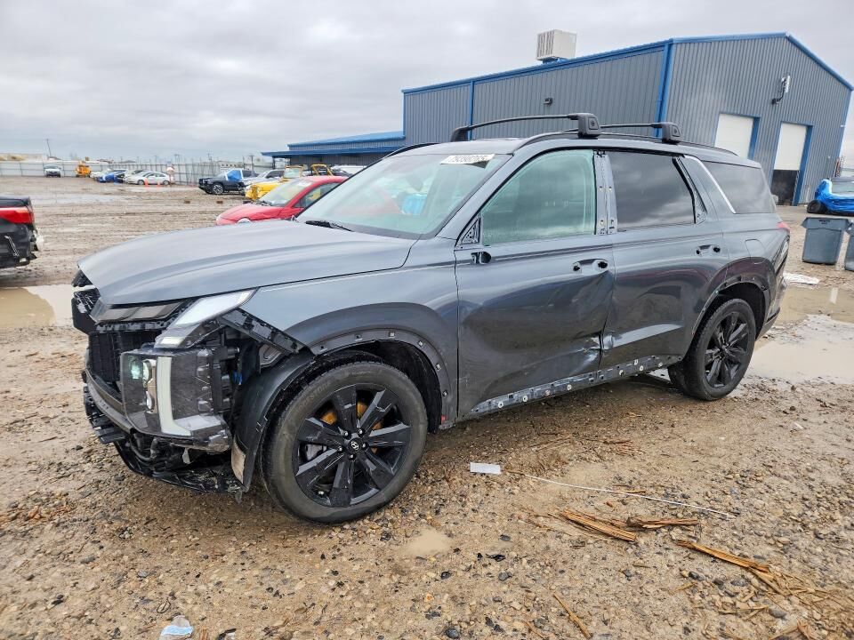 2024 HYUNDAI Palisade