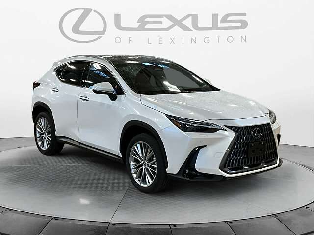 2024 LEXUS NX