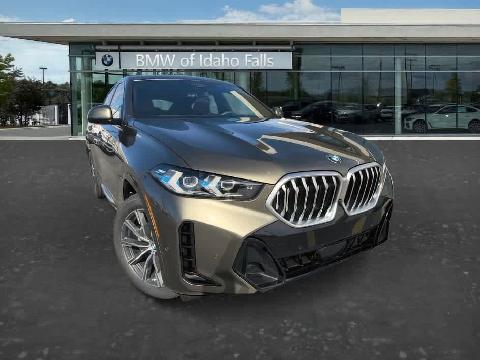 2026 BMW X6