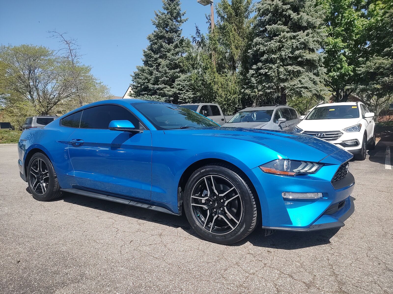 2019 FORD Mustang